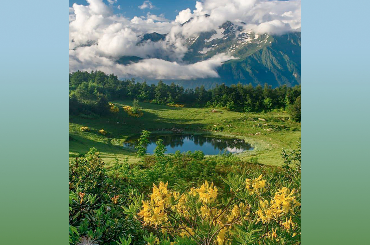 Квартиры под Сочи купить